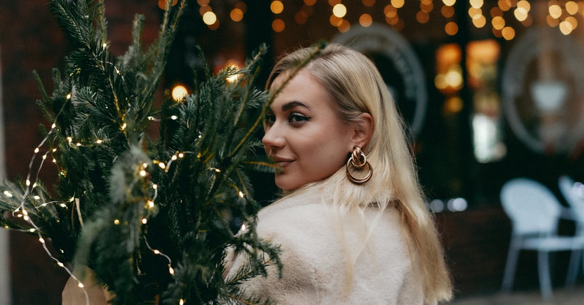 Why is Christmas light installation so expensive?